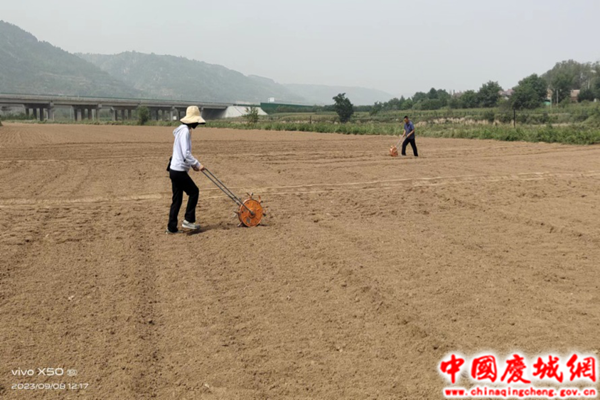 慶城縣全力推動油料作物“擴面積、提產能” 項目實施